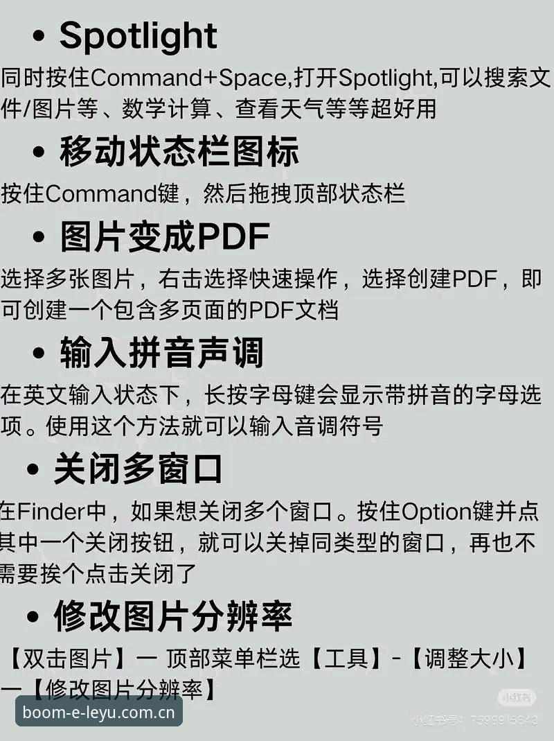 深度揭秘：海外华人玩转LEYU电脑版的三个隐藏技巧
